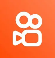 直播伴侣官方logo